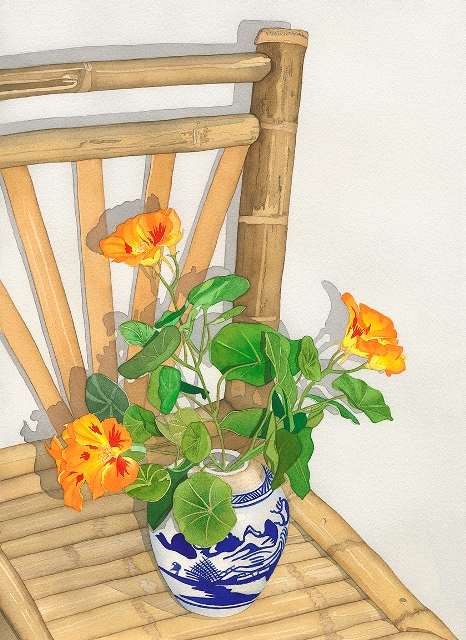 Sally-Baker-Nasturtiums