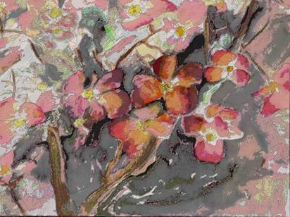 Lachman-Irwin-Dogwood
