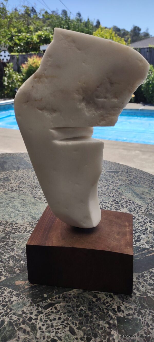 The Nose That Knows