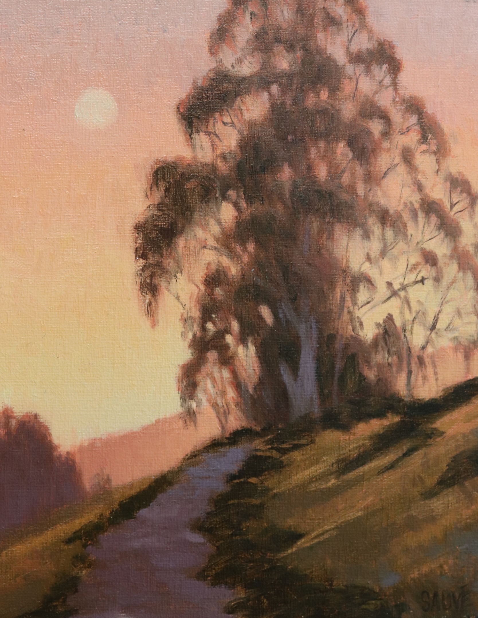 Terry Sauvé – West County Moonrise