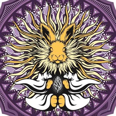 Dr Hops Kombucha Beer logo