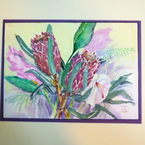Andrea Cleall watercolor painting of proteas flowers primarily pinks greens and tans