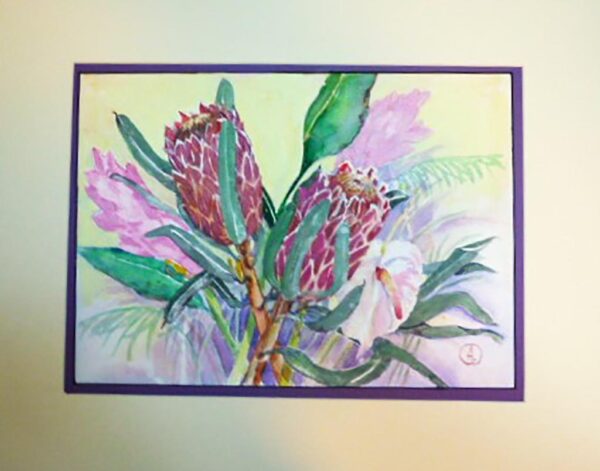 Andrea Cleall watercolor painting of proteas flowers primarily pinks greens and tans