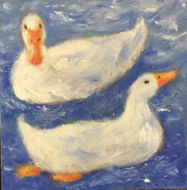 Tamsen Donner ducks swimming in a pond