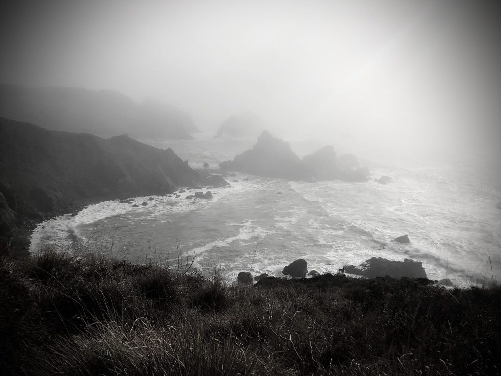 Monica Kuhlman Jacobson black & white photo from Jenner Headlands Preserve showing coast, waves, fog