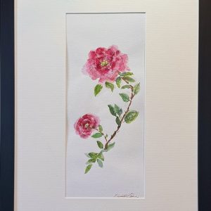 Elizabeth Gomes' two pink roses in watercolor on paper
