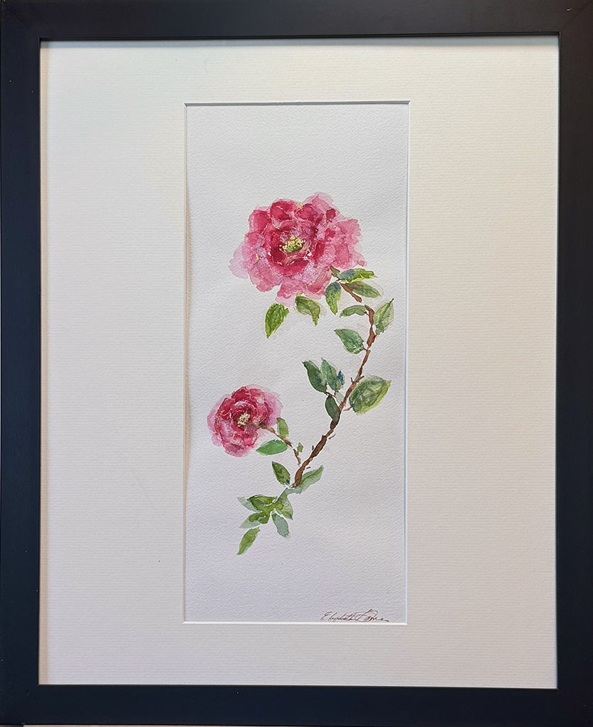 Elizabeth Gomes' two pink roses in watercolor on paper