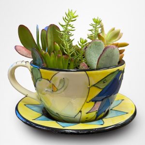 Fran Berger's succulent garden in a Denise Ford hand painted cup with saucer