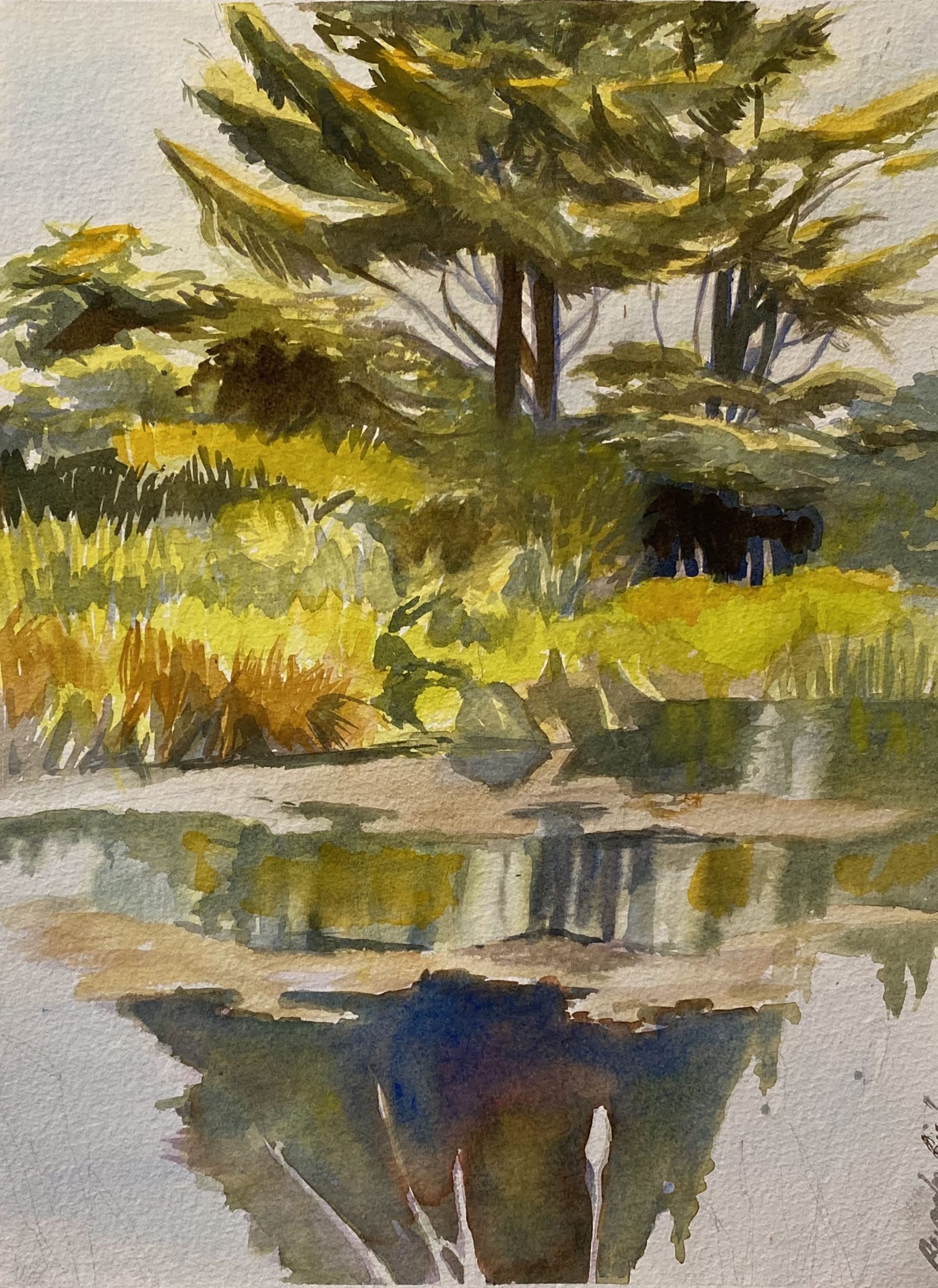 Beverly Bird's pond scene. Watercolor of green trees reflected in a grayish pond.
