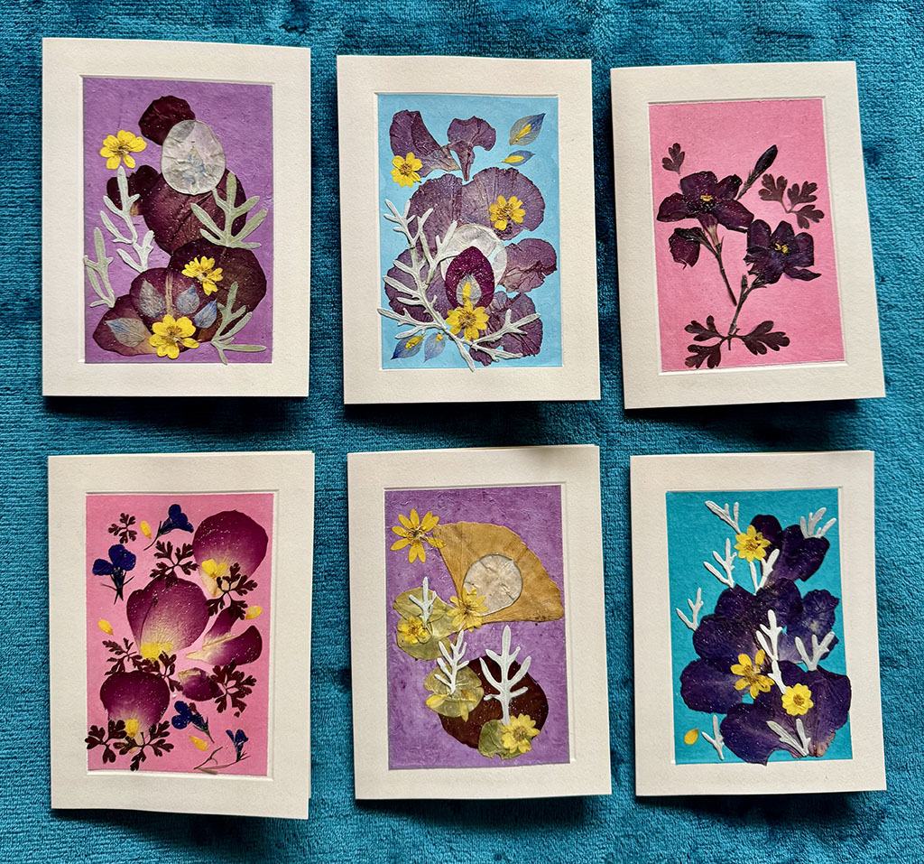 Kathryn Hainke's dried flower collage cards. Set of 6