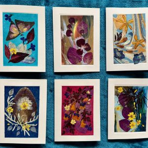 Kathryn Hainke's collage, dried flower cards. Set of 6