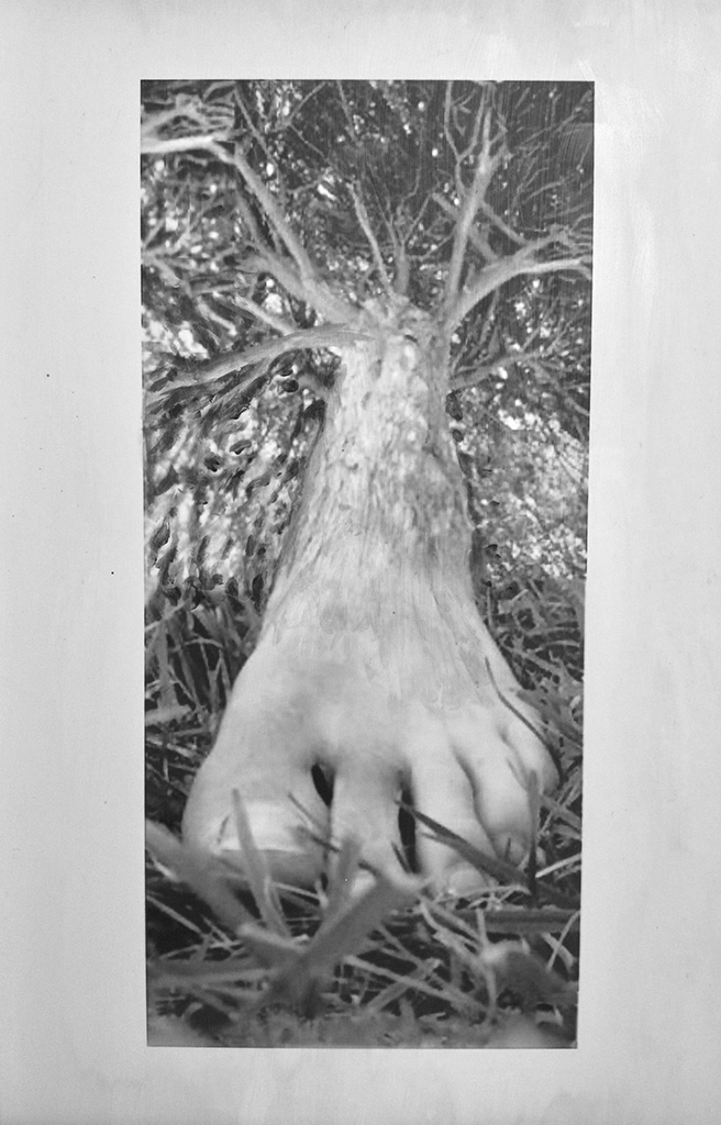 Rebecca Bebe's altered black and white photo of a human foot as the base of a tree